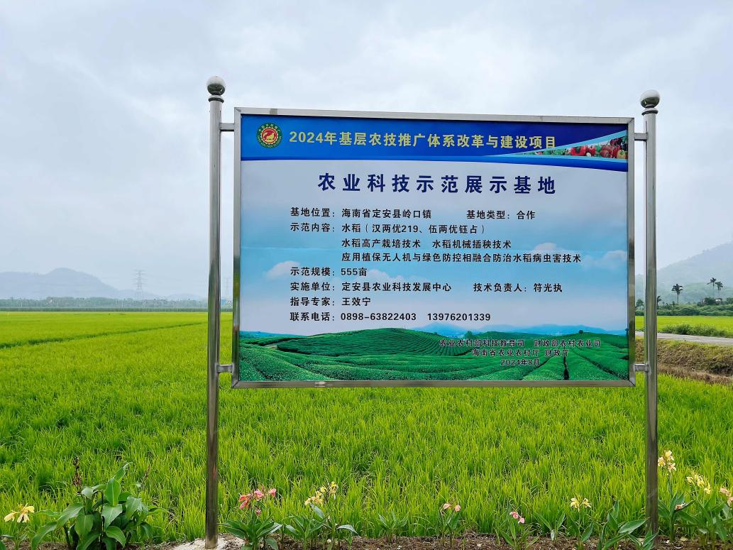 规范管理夯基础 科技引领促增收——2024年基层农技推广改革与建设补助项目实地调研圆满完成