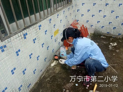 顺海科技万宁办事处2019年1月12日工作日志