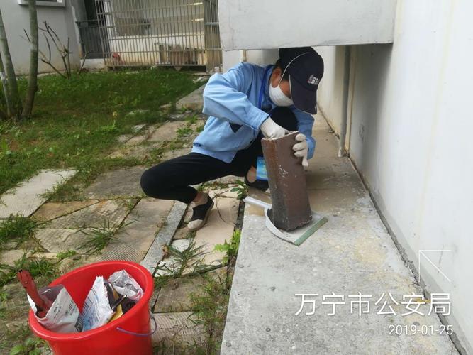 顺海科技万宁办事处2019年1月25日工作日志顺海科技杨萍 2019